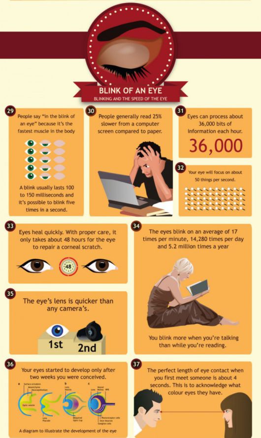 50 Incredible Facts About The Human Eye